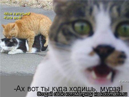 Котоматрица: -Моя лапуська! -Котя моя! -Ах вот ты куда ходишь, мурза!