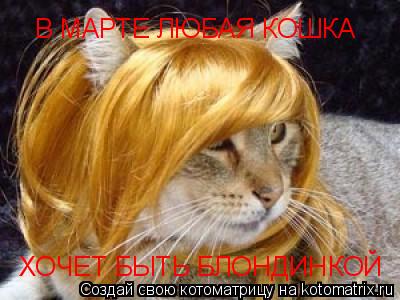 Котоматрица: В МАРТЕ ЛЮБАЯ КОШКА ХОЧЕТ БЫТЬ БЛОНДИНКОЙ