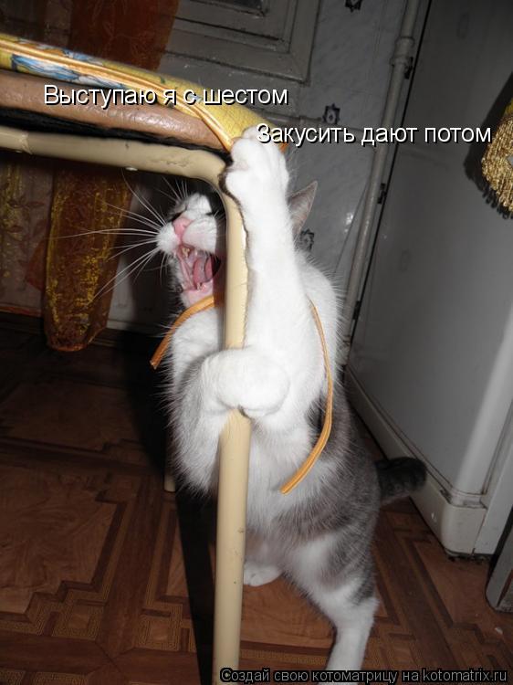 Котоматрица: Выступаю я с шестом Закусить дают потом