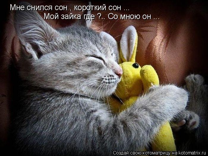 Котоматрица: Мне снился сон , короткий сон ... Мой зайка где ?.. Со мною он ...