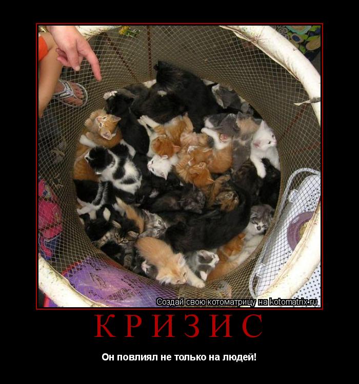 Котоматрица: КРИЗИС Он повлиял не только на людей!