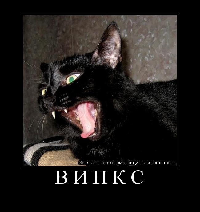 Котоматрица: Винкс 