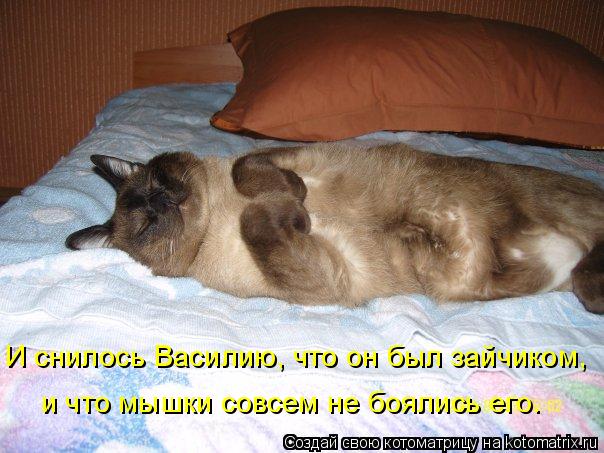 И снилось Василию, что он был зайчиком, и что мышки совсем не боялись его.... Котоматрица: И снилось Василию, что он был зайчиком, и что мышки совсем не боялись его.