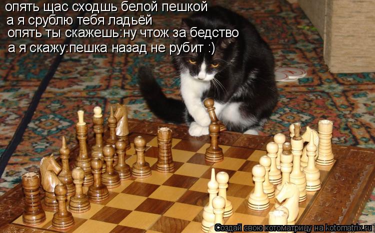 Котоматрица: опять щас сходшь белой пешкой а я срублю тебя ладьёй опять ты скажешь:ну чтож за бедство а я скажу:пешка назад не рубит :)