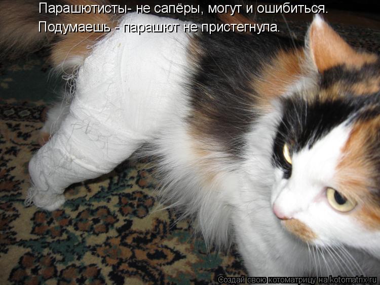 Котоматрица: Парашютисты- не сапёры, могут и ошибиться.  Подумаешь - парашют не пристегнула.