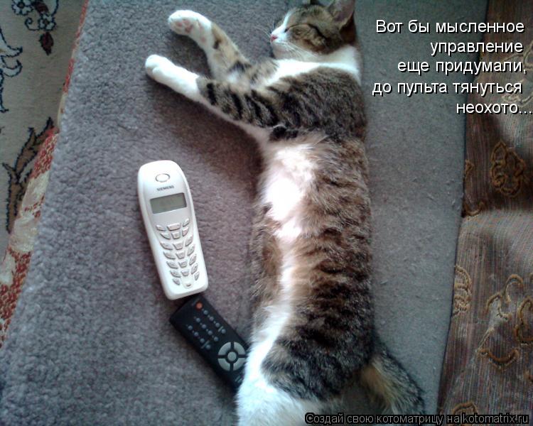 Котоматрица: Вот бы мысленное управление  еще придумали, неохото... до пульта тянуться