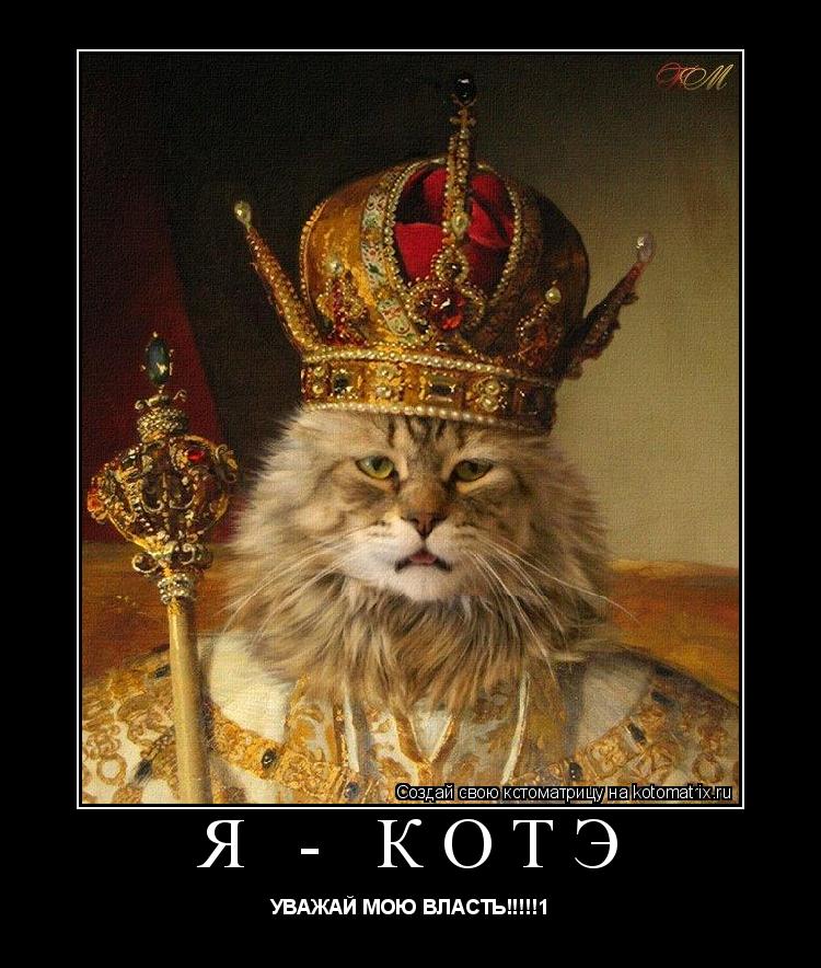 я - котэ УВАЖАЙ МОЮ ВЛАСТЬ!!!!!1... Котоматрица: я - котэ УВАЖАЙ МОЮ ВЛАСТЬ!!!!!1