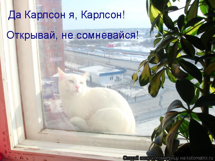 Котоматрица: Да Карлсон я, Карлсон!  Открывай, не сомневайся!