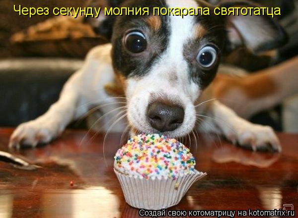 Котоматрица: Через секунду молния покарала святотатца