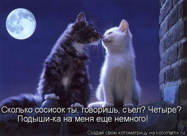 Котоматрица: Сколько сосисок ты, говоришь, съел? Четыре?  Подыши-ка на меня еще немного!