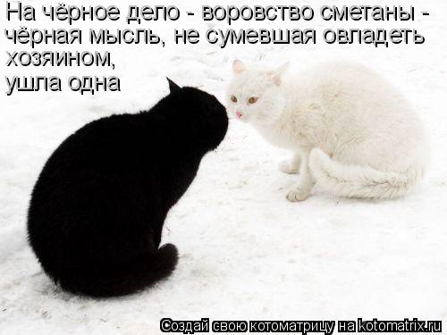 На чёрное дело - воровство сметаны - чёрная мысль, не сумевшая овладеть хозяином, ушла одна... Котоматрица: На чёрное дело - воровство сметаны - чёрная мысль, не сумевшая овладеть хозяином, ушла одна