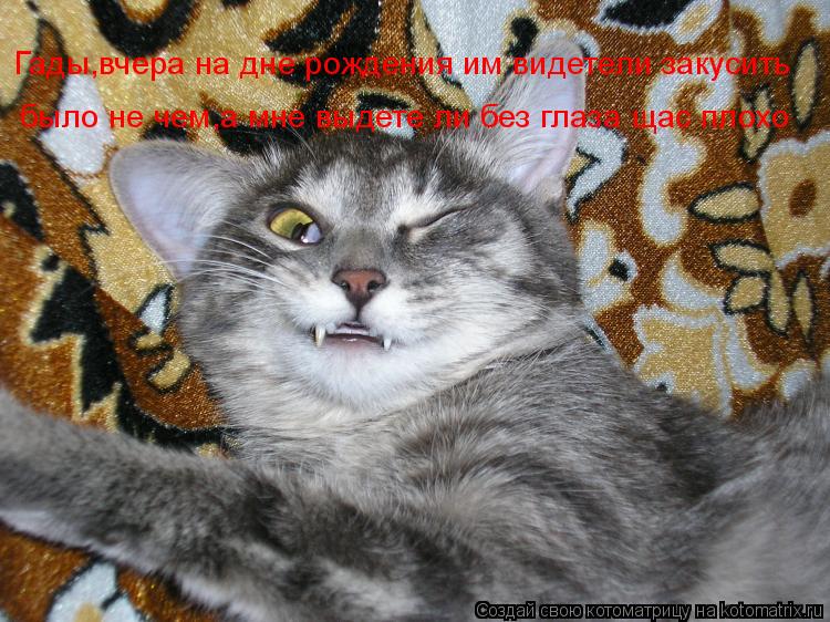 Котоматрица: Гады,вчера на дне рождения им видетели закусить было не чем,а мне выдете ли без глаза щас плохо