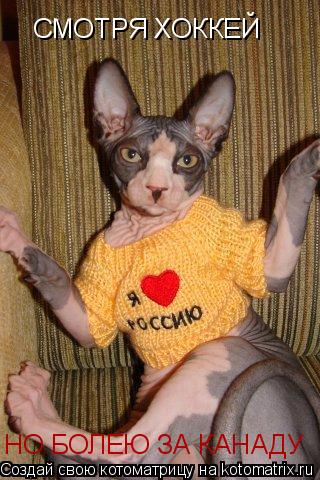 Котоматрица: СМОТРЯ ХОККЕЙ НО БОЛЕЮ ЗА КАНАДУ