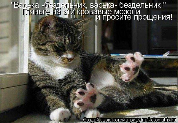 Котоматрица: "Васька -бездельник, васька- бездельник!" Гляньте на эти кровавые мозоли  и просите прощения!