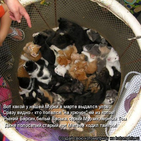Котоматрица: Вот какой у нашей Мурки в марте выдался улов: Сразу видно - кто попался "на крючок" ей из котов! Рыжий Барсик,белый Васька,серый Мурзик,черный 