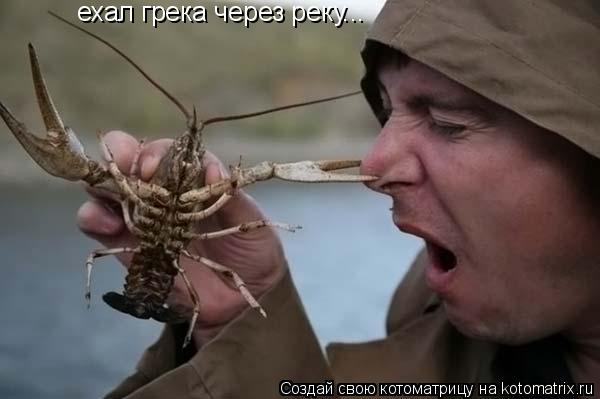 Котоматрица: ехал грека через реку...