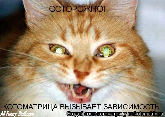 Котоматрица: ОСТОРОЖНО!  КОТОМАТРИЦА ВЫЗЫВАЕТ ЗАВИСИМОСТЬ