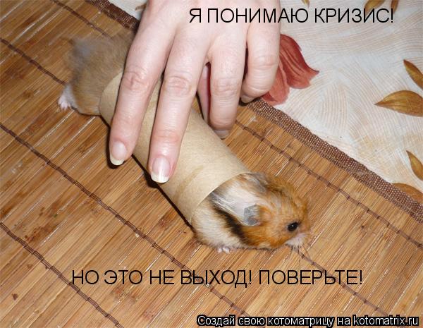 Котоматрица: Я ПОНИМАЮ КРИЗИС! НО ЭТО НЕ ВЫХОД! ПОВЕРЬТЕ!