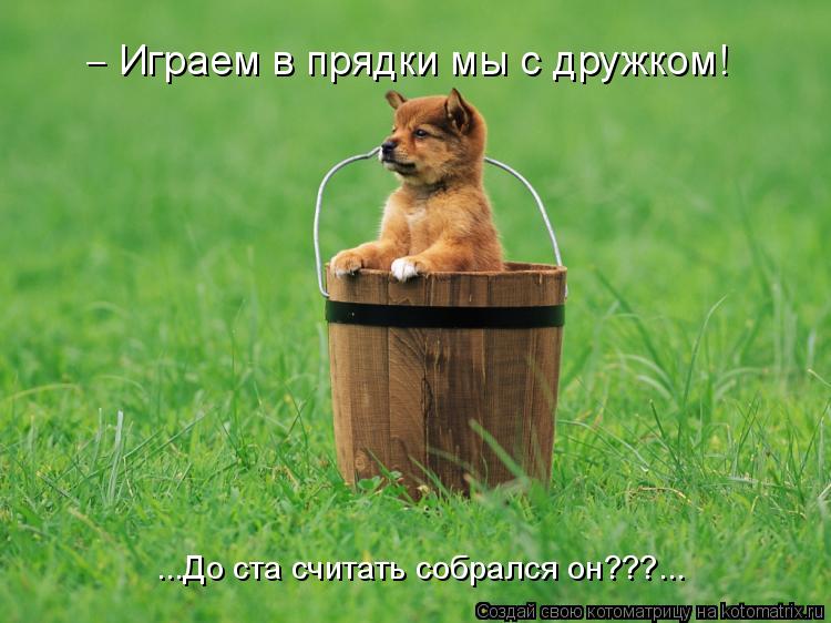 Котоматрица: Играем в прядки мы с дружком! ...До ста считать собрался он???... _