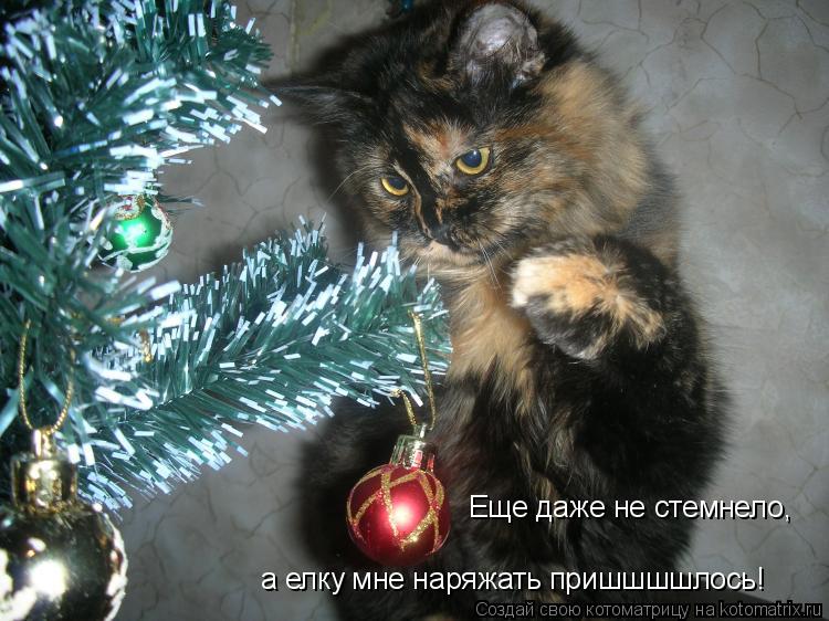 Котоматрица: Еще даже не стемнело,  а елку мне наряжать пришшшшлось!
