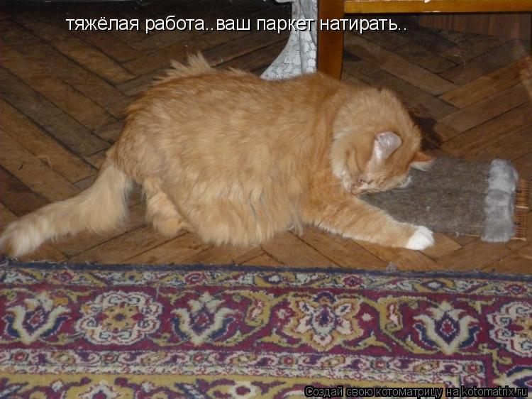тяжёлая работа..ваш паркет натирать..... Котоматрица: тяжёлая работа..ваш паркет натирать..