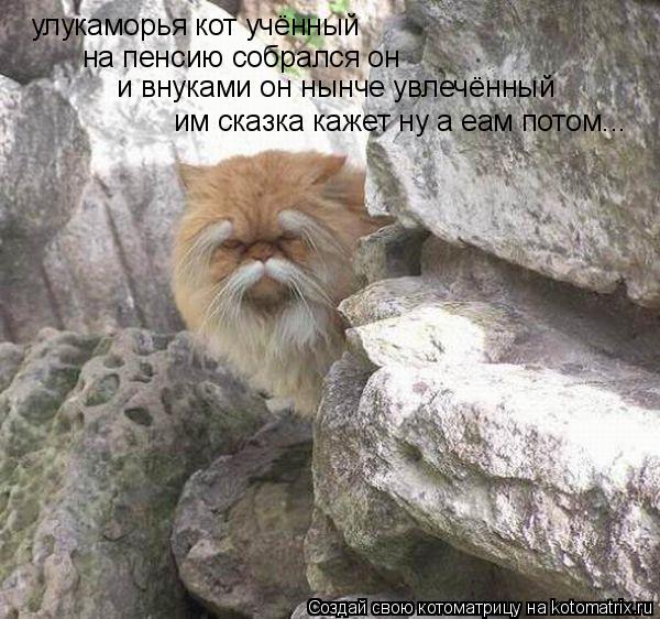 Котоматрица: улукаморья кот учённый улукаморья кот учённый на пенсию собрался он и внуками он нынче увлечённый им сказка кажет ну а еам потом...