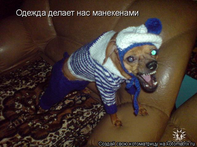 Котоматрица: Одежда делает нас манекенами