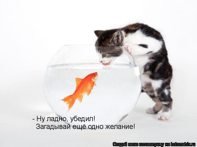 Котоматрица: - Ну ладно, убедил! Загадывай ещё одно желание!