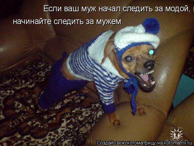 Котоматрица: Если ваш муж начал следить за модой, начинайте следить за мужем начинайте следить за мужем