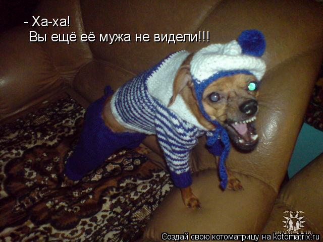 - Ха-ха! Вы ещё её мужа не видели!!!... Котоматрица: - Ха-ха! Вы ещё её мужа не видели!!!