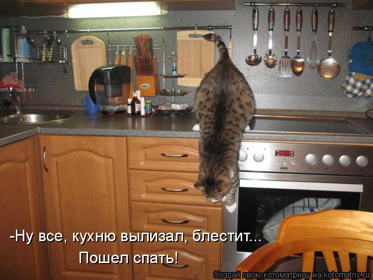 Котоматрица: -Ну все, кухню вылизал, блестит... Пошел спать!