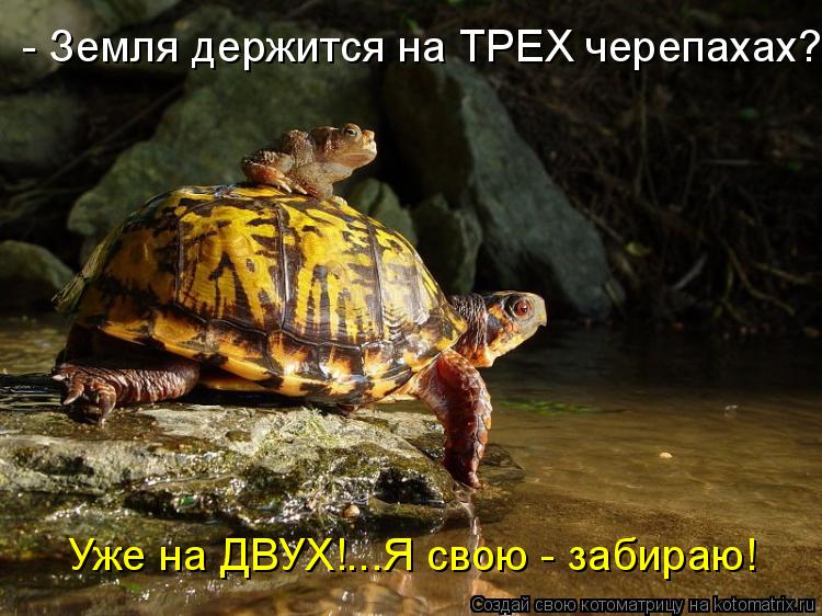- Земля держится на ТРЕХ черепахах? Уже на ДВУХ!...Я свою - забираю!... Котоматрица: - Земля держится на ТРЕХ черепахах? Уже на ДВУХ!...Я свою - забираю!