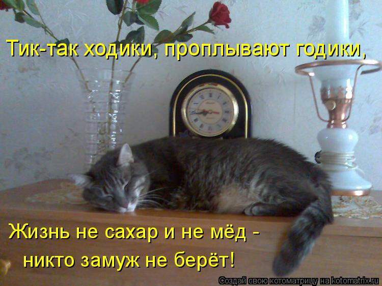 Котоматрица: Тик-так ходики, проплывают годики, Жизнь не сахар и не мёд - никто замуж не берёт!