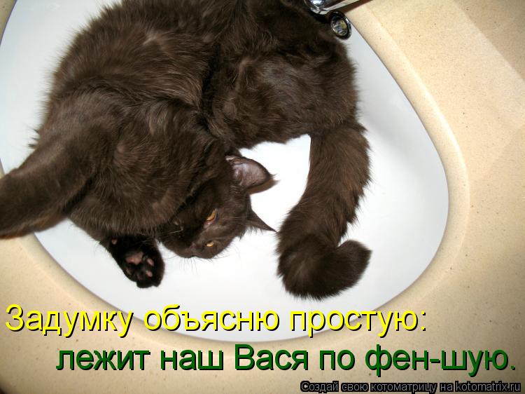 Котоматрица: Задумку объясню простую: лежит наш Вася по фен-шую.