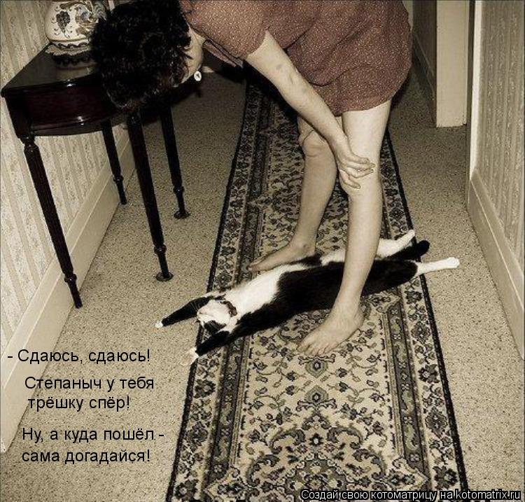 Котоматрица: - Сдаюсь, сдаюсь!     Степаныч у тебя   трёшку спёр! Ну, а куда пошёл - сама догадайся!