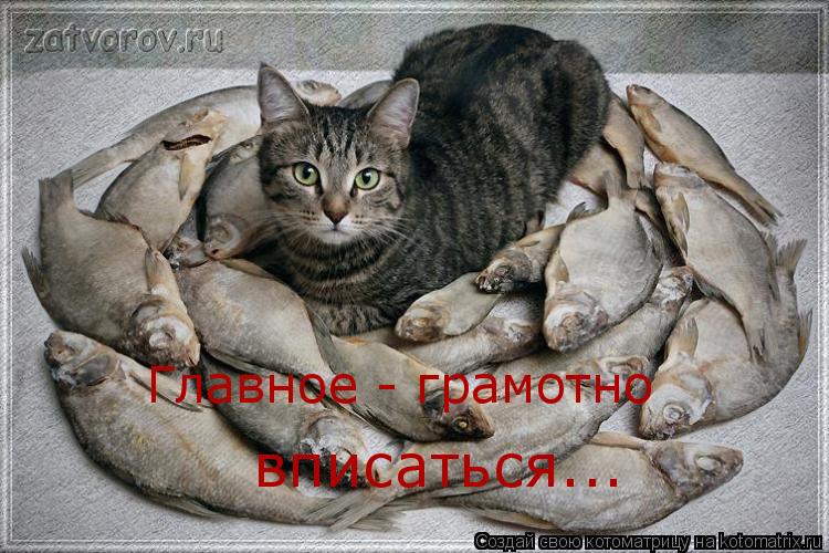 Котоматрица: Главное - грамотно вписаться...