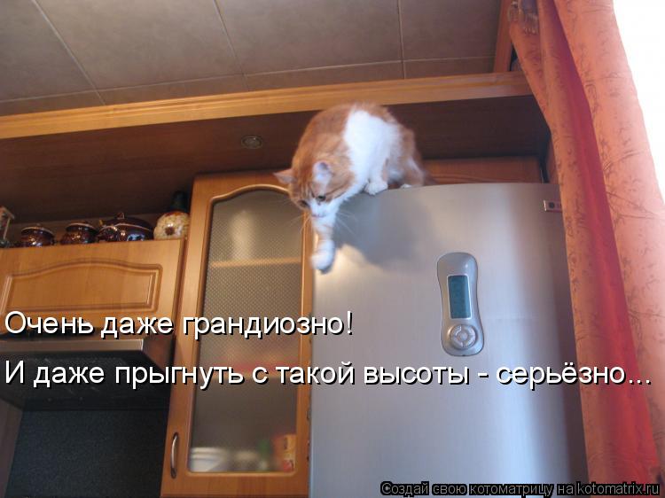 Котоматрица: Очень даже грандиозно! И даже прыгнуть с такой высоты - серьёзно...