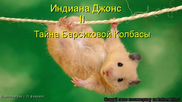 Котоматрица: Индиана Джонс  II В кинотеатрах с 31 февраля Тайна Барсиковой Колбасы