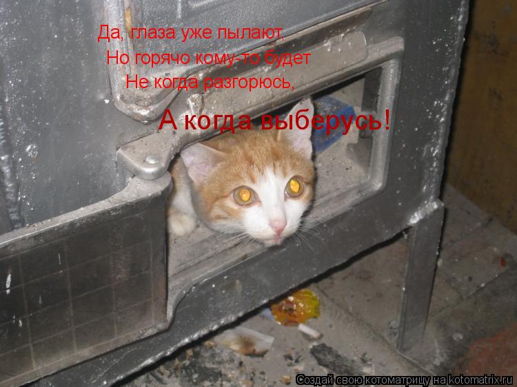 Котоматрица: Да, глаза уже пылают, Но горячо кому-то будет Не когда разгорюсь, А когда выберусь!