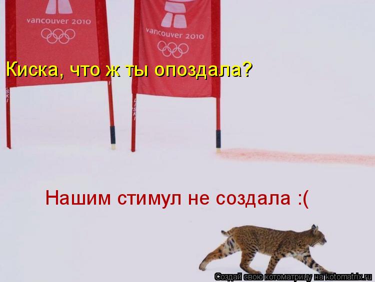 Котоматрица: Киска, что ж ты опоздала? Нашим стимул не создала :(