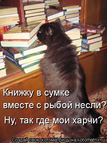 Котоматрица: Книжку в сумке вместе с рыбой несли? Ну, так где мои харчи?