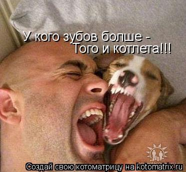 Котоматрица: У кого зубов болше - Того и котлета!!!