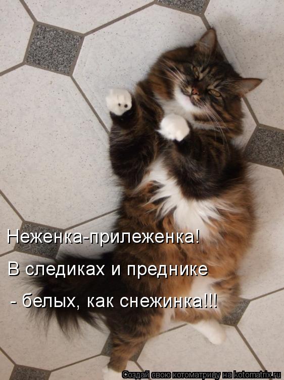 Котоматрица: Неженка-прилеженка! В следиках и преднике - белых, как снежинка!!!