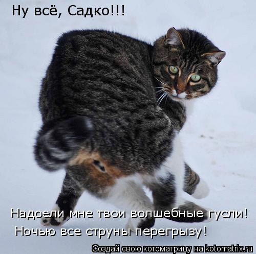 Котоматрица: Ну всё, Садко!!! Надоели мне твои волшебные гусли! Ночью все струны перегрызу!