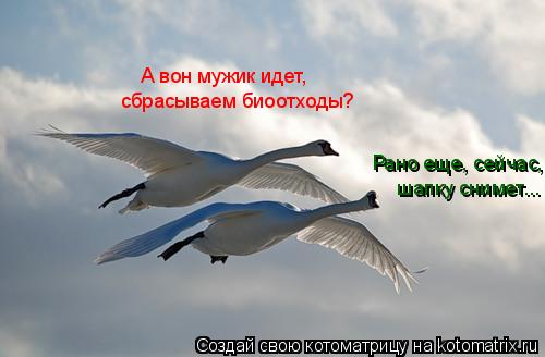 Котоматрица: А вон мужик идет, сбрасываем биоотходы? Рано еще, сейчас,  шапку снимет...