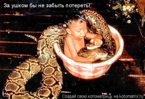 Котоматрица: За ушком бы не забыть потереть!