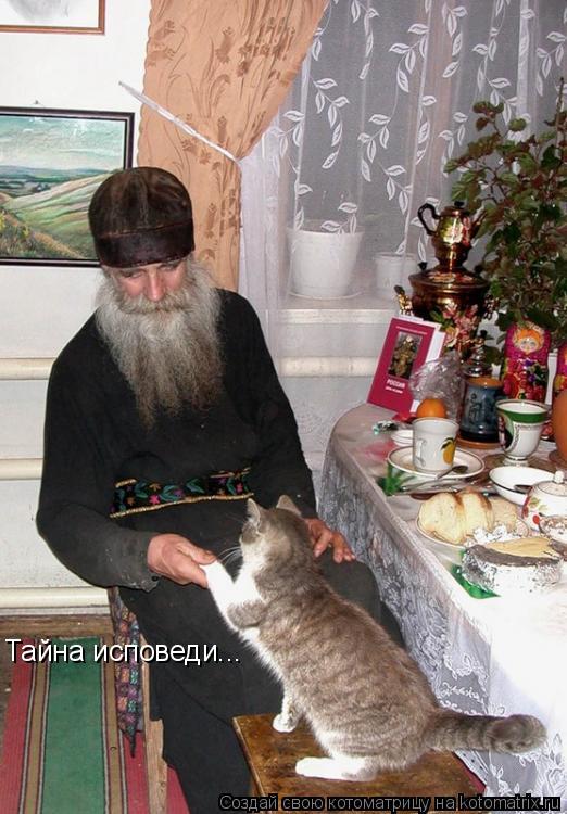 Котоматрица: Тайна исповеди...