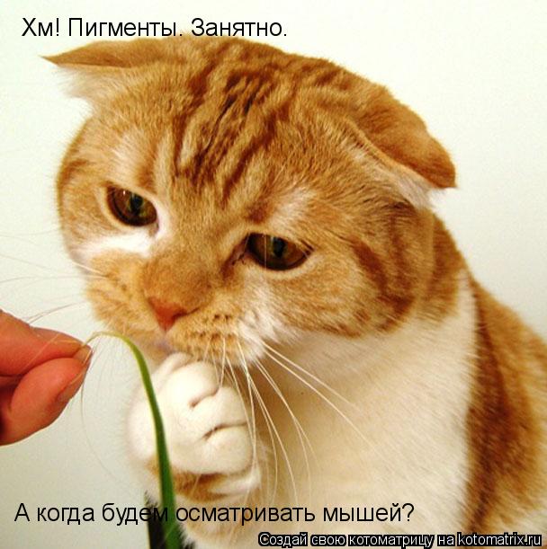 Котоматрица: Хм! Пигменты. Занятно. А когда будем осматривать мышей?