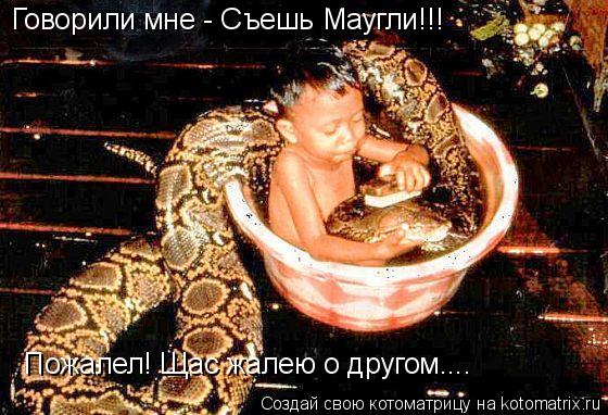 Котоматрица: Говорили мне - Съешь Маугли!!! Пожалел! Щас жалею о другом....