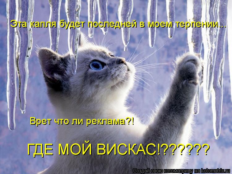 Котоматрица: Эта капля будет последней в моем терпении... Врет что ли реклама?! ГДЕ МОЙ ВИСКАС!??????